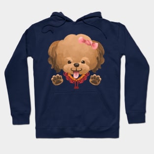 Poodle do a Peek a Boo Pose Hoodie